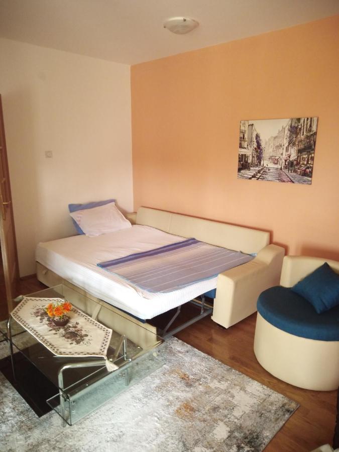 Apartman Ozi Petrovac Exterior photo