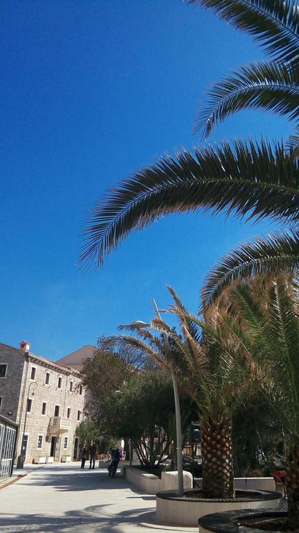 Apartman Ozi Petrovac Exterior photo