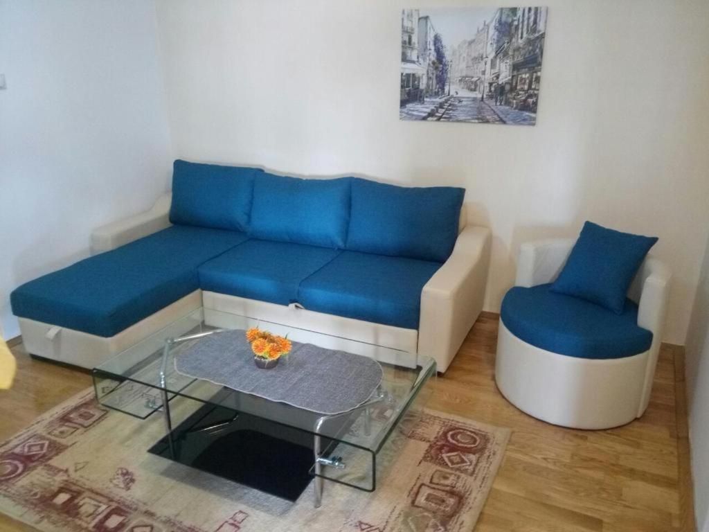 Apartman Ozi Petrovac Exterior photo